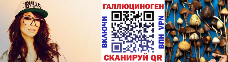 mega ссылка наркота Полтавская Галлюциногенные грибы мицелий